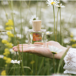 EAU DE PARFUM PROVENCE...