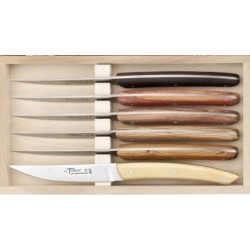 COFFRET THIERS MULTIBOIS X6